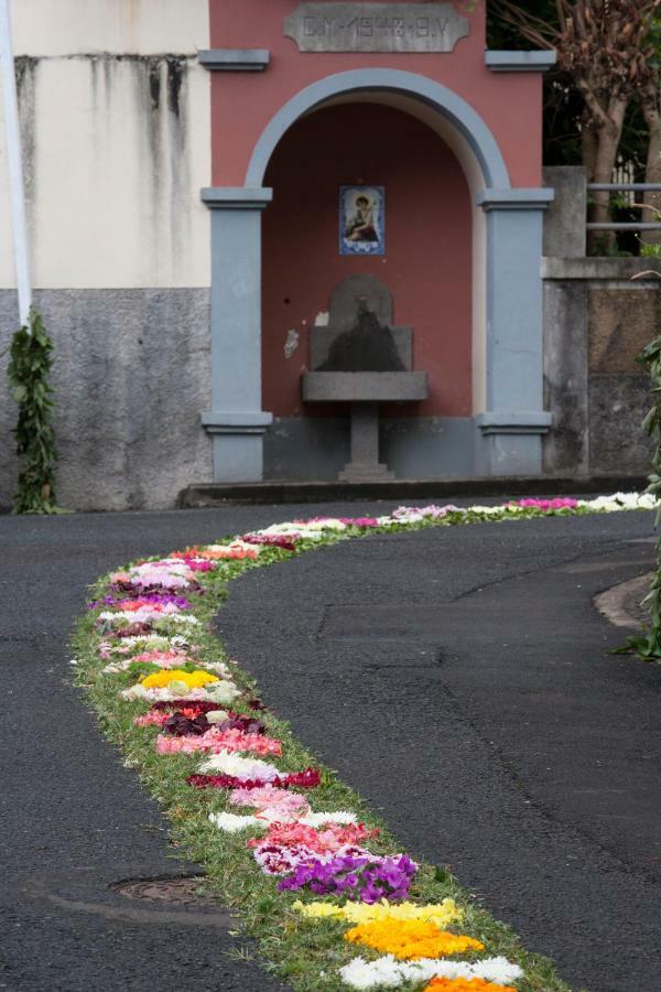 Antonella Home Funchal エクステリア 写真